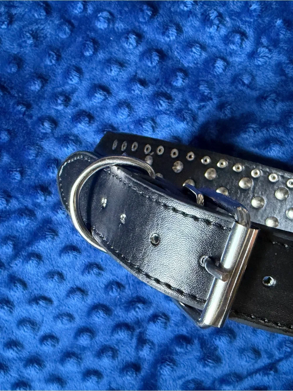 Black Spiked Leather Collar